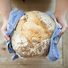 The Bread Project